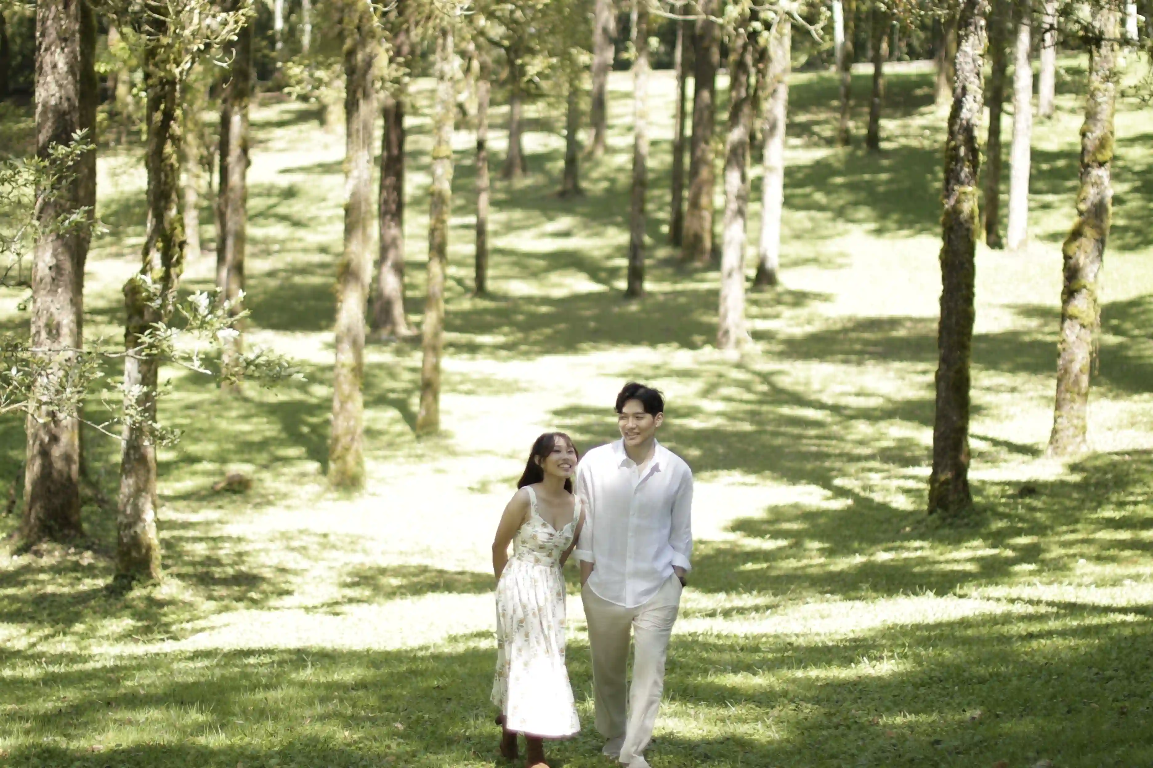 Gallery photo 4